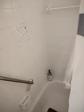 Snapshot of SpiderRose chatting on February 21, 2026, 2:08 pm SpiderRose online show from February 21, 2026, 2:08 pm