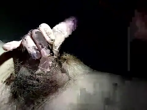 Snapshot of Andpnsote chatting on December 18, 2025, 10:30 am Andpnsote online show from December 18, 2025, 10:30 am