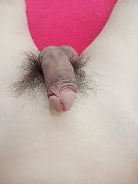 doanvandien online show from April 11, 2026, 7:56 am