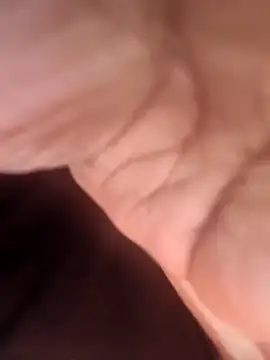 Ecyol online show from April 14, 2026, 4:39 am