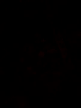 1Aya1Mustafa online show from March 30, 2026, 2:07 pm