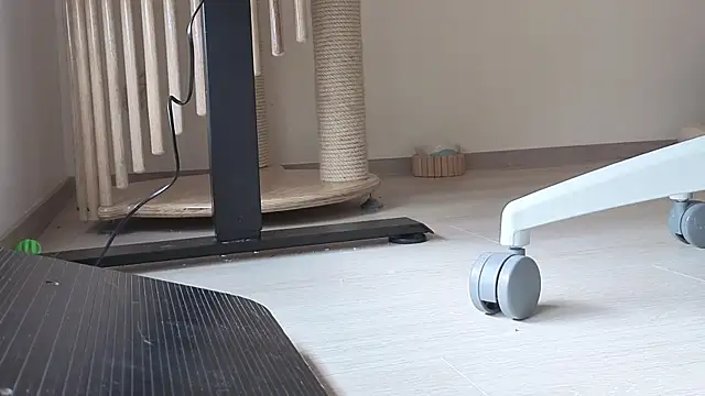 Snapshot of Feetbeth chatting on February 6, 2026, 7:21 pm Feetbeth online show from February 6, 2026, 7:21 pm