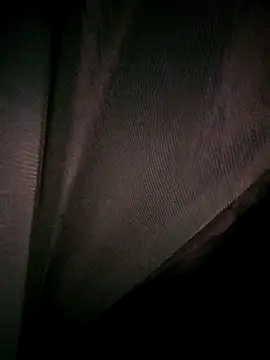 Snapshot of Rousse_uwu chatting on February 19, 2026, 4:20 am Rousse uwu online show from February 19, 2026, 4:20 am