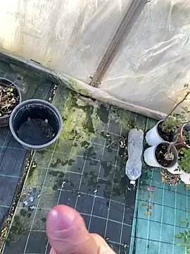 marcoboss online show from January 14, 2026, 1:48 pm