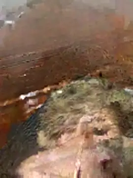 katiyvy online show from February 16, 2026, 7:12 pm