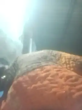 Snapshot of Pinki_rajak chatting on January 11, 2026, 7:10 pm Pinki rajak online show from January 11, 2026, 7:10 pm