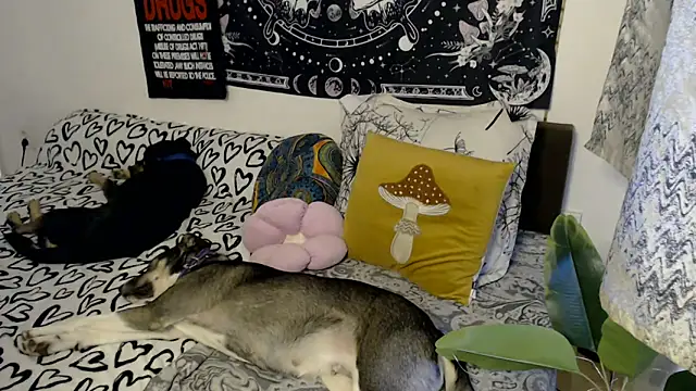 Snapshot of AlienforTwenty chatting on February 26, 2026, 8:58 am AlienforTwenty online show from February 26, 2026, 8:58 am