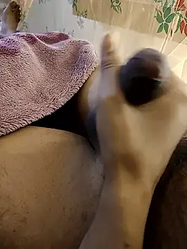 Snapshot of susuadult chatting on January 14, 2026, 8:34 pm susuadult online show from January 14, 2026, 8:34 pm