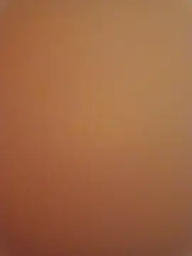 Punam sekhavat online show from December 17, 2025, 8:58 pm