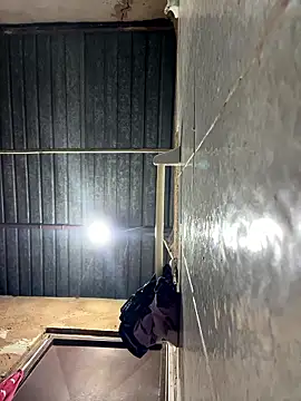 Team Pedro3003 online show from January 12, 2026, 11:28 am