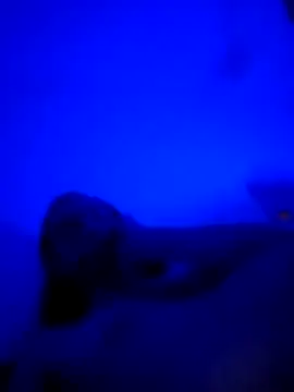 vladopen online show from January 7, 2026, 5:23 am