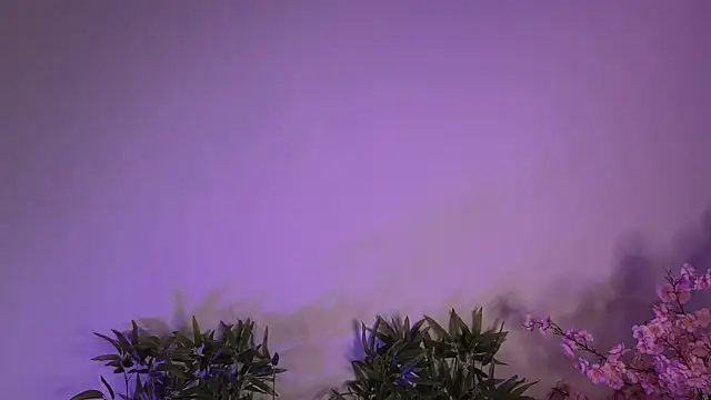 Snapshot of Mila_Whelson chatting on January 17, 2026, 10:46 pm Mila Whelson online show from January 17, 2026, 10:46 pm