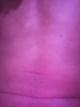 Dhadhe11 online show from December 17, 2025, 4:12 pm