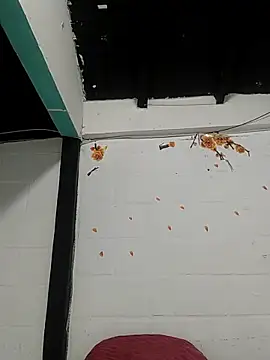 sk8-boy online show from March 21, 2026, 1:48 pm