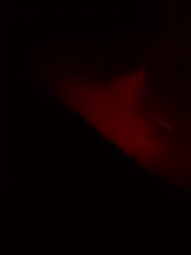 Snapshot of vishalk12346 chatting on January 8, 2026, 5:41 pm vishalk12346 online show from January 8, 2026, 5:41 pm