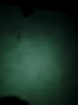 Snapshot of vishalk12346 chatting on January 13, 2026, 6:01 pm vishalk12346 online show from January 13, 2026, 6:01 pm