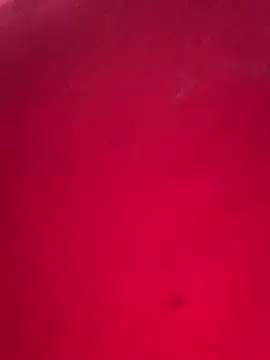 Snapshot of missmisha01 chatting on February 17, 2026, 2:31 am missmisha01 online show from February 17, 2026, 2:31 am