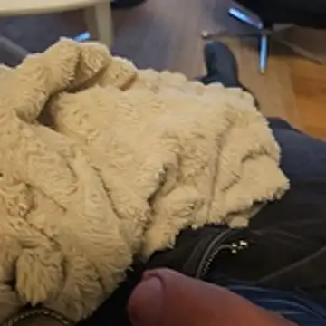 Puntadelteno online show from January 5, 2026, 8:01 pm