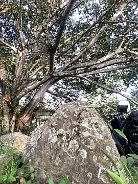 Maicol xxxx online show from March 5, 2026, 10:27 pm