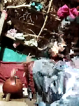 Cuty priti online show from May 14, 2026, 4:48 pm