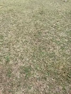 Snapshot of Tamilpaiyan07 chatting on February 1, 2026, 3:49 am Tamilpaiyan07 online show from February 1, 2026, 3:49 am