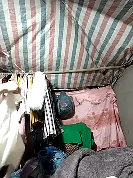 Lucky cutee online show from January 17, 2026, 4:49 am