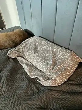 Sofii unicorn online show from April 9, 2026, 3:19 am