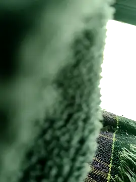 Hot2602 online show from April 18, 2026, 5:54 am