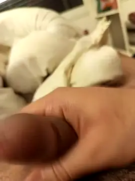 Snapshot of kingmiko12 chatting on January 14, 2026, 4:21 pm kingmiko12 online show from January 14, 2026, 4:21 pm