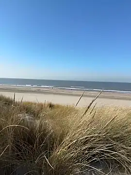 Snapshot of friemeldepiemel chatting on March 5, 2026, 1:19 pm friemeldepiemel online show from March 5, 2026, 1:19 pm