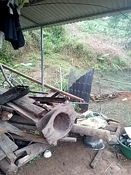 congchua977 online show from March 18, 2026, 11:59 pm