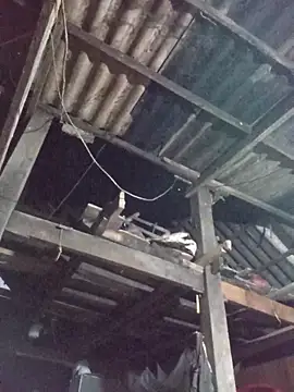 dakota-kis online show from March 30, 2026, 11:44 am