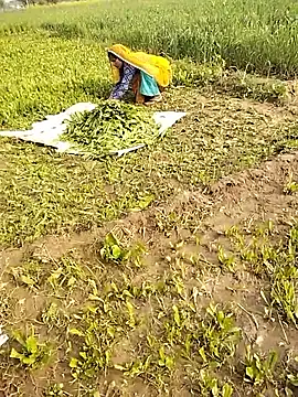 hornycouple20000 online show from January 10, 2026, 5:03 am