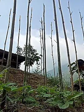 Hiniyk2 online show from March 24, 2026, 2:11 am