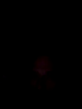 foufou2329 online show from May 8, 2026, 10:46 pm