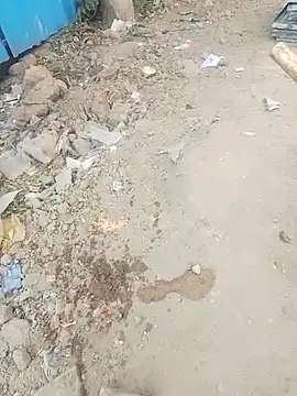 Gauri  Dhar online show from January 17, 2026, 7:12 am