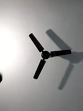 Sonali-6 online show from February 14, 2026, 4:40 pm