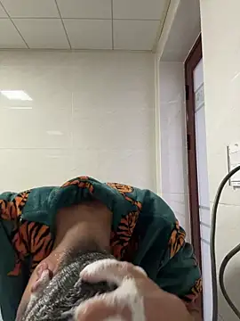 TOYOTA-01 online show from February 7, 2026, 7:27 am