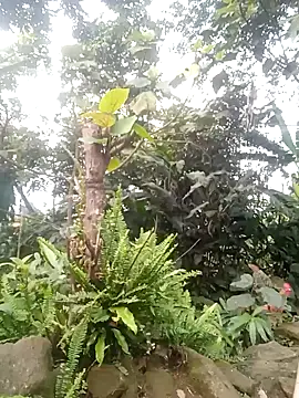 him220 online show from April 2, 2026, 10:22 am