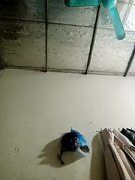 Snapshot of Sana-vn chatting on January 15, 2026, 1:47 pm Sana-vn online show from January 15, 2026, 1:47 pm