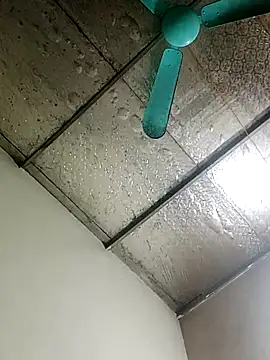 Snapshot of Sana-vn chatting on February 2, 2026, 12:20 am Sana-vn online show from February 2, 2026, 12:20 am