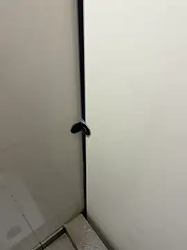 Snapshot of Johnlim880 chatting on January 10, 2026, 4:52 am Johnlim880 online show from January 10, 2026, 4:52 am