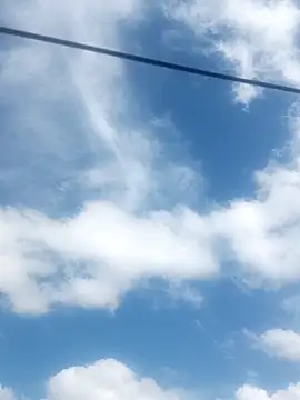     gozada---- online show from January 12, 2026, 11:28 am