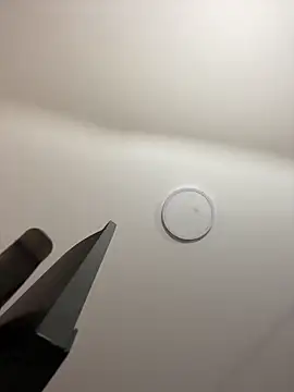 Michelle ec online show from March 7, 2026, 3:06 pm