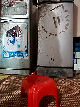 Snapshot of -Bunny-y chatting on January 8, 2026, 1:55 am -Bunny-y online show from January 8, 2026, 1:55 am