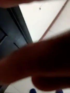 Fises28 online show from January 18, 2026, 2:09 pm