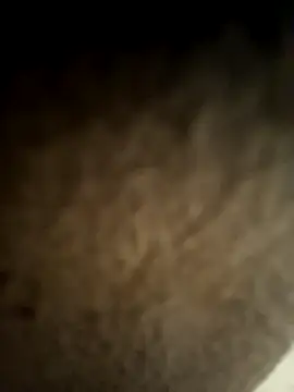 kingEgyptianRr online show from February 13, 2026, 7:14 pm