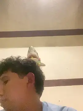 luis-pipo online show from January 12, 2026, 7:59 am