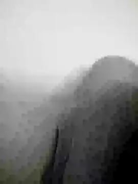 Scook Gray  online show from April 8, 2026, 6:09 pm