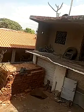 Snapshot of --------bucetuda------- chatting on January 19, 2026, 12:53 pm --------bucetuda------- online show from January 19, 2026, 12:53 pm